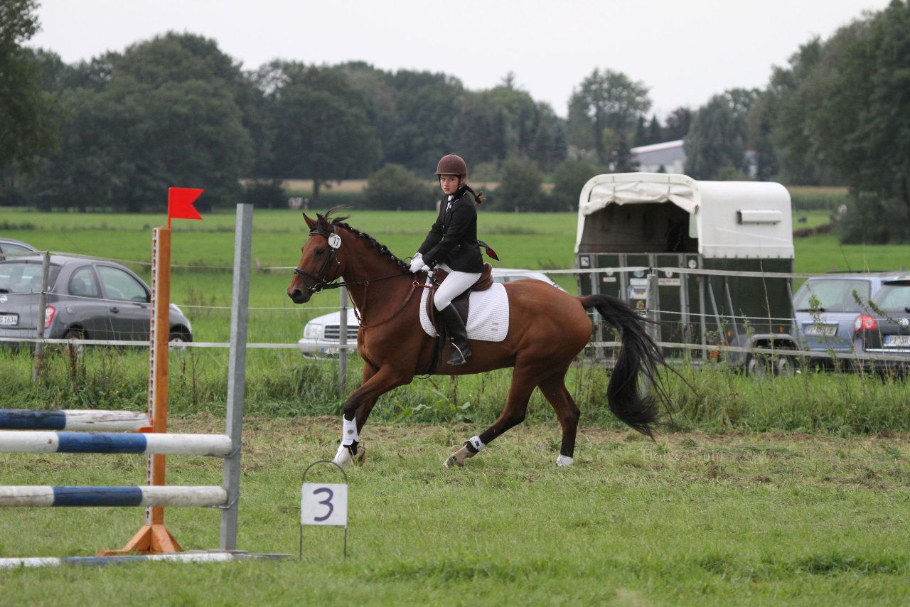 Bild 1339 - WBO-Turnier am 18.9.11